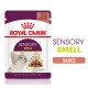 Pochette de nourriture pour chat Royal Canin Sensory Smell, 85g, contenant des morceaux dans une sauce, avec une image de chat et un texte soulignant la stimulation sensorielle.