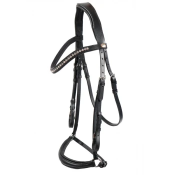 Schwarzes Lederpferdegeschirr mit dekorativen Strasssteinen, ausgestattet mit mehreren Riemen und Schnallen zur Anpassung.