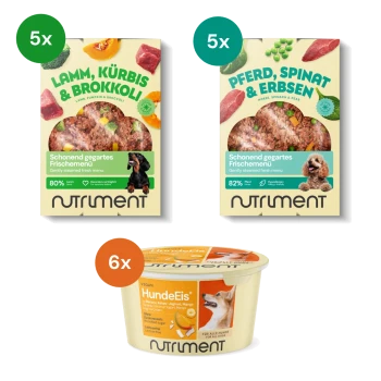 Fünf Packungen Nutriment Lamm, Kürbis & Brokkoli Hundefutter, fünf Packungen Pferd, Spinat & Erbsen Hundefutter und sechs Becher veganes Hunde-Eis.