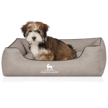 Flauschiger braun-weißer Welpe sitzt in einem grauen rechteckigen Hundebett mit KNUFFELWUFF-Logo