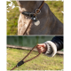 Eine Person in einer schwarzen Jacke und Leggings steht auf einem Waldweg und hält eine Leine, die an einem sitzenden schwarz-braunen Hund befestigt ist, der nach oben schaut.
