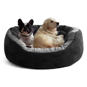Zwei Hunde, ein schwarz-weißer Französischer Bulldog und ein Golden Retriever, liegen zusammen in einem großen grauen Haustierbett.