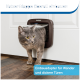 Eine graue Katze kommt aus einer PetSafe Katzenklappe in einer weißen Tür, mit dem Text: "Katzenklappe überall einbauen" und "Einbaadapter für Wände."