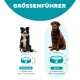 Hunde-Napf-Größentabelle: mittelgroßer Hund (22,2 cm, 5,7 cm) benötigt 2 Tassen; großer Hund (29,9 cm, 7 cm) benötigt 4 Tassen Futter.