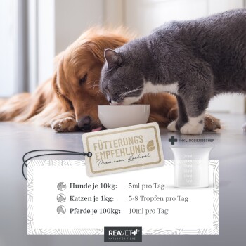 Flasche REAVET Omega-3 Fischöl für Haustiere, mit einem Hund auf dem Etikett und 17% Omega 3 & 6 aus nordatlantischen Quellen.