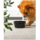 Flauschiger brauner Pommerscher Hund schnüffelt an einer schwarzen geometrischen Futterschale auf hellem Boden mit grünen Blättern in der Nähe.