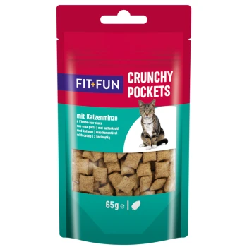 Un paquet de friandises pour chats FIT+FUN Crunchy Pockets, présentant un chat tigré sur le devant, étiqueté 'mit Katzenminze' et pesant 65 g.