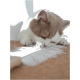 Eine flauschige weiße und hellbraune Katze schnuppert verspielt an einem Feder-Spielzeug auf einer strukturierten Oberfläche und zeigt ihre verspielte Natur.