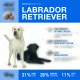 Hundefutterverpackung mit Aufdruck 'LABRADOR RETRIEVER', gelbe und schwarze Labradors, ADULT (über 15 Monate), 10 kg, 31% Rind, 26% Protein.