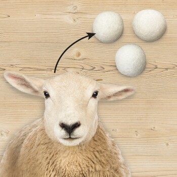 Eine Nahaufnahme des Gesichts eines Schafes mit drei weißen Wollkugeln darüber, verbunden durch einen Pfeil, vor einem Holz-Hintergrund.