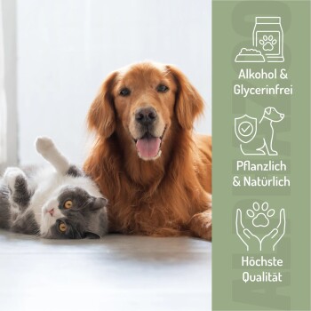 Ein Siamkatzenkätzchen patscht an einen Globus, mit Text über umweltfreundliche Praktiken auf Deutsch, einschließlich lokaler Produktion und niedriger CO2-Emissionen.