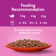 Image of a bowl of cat food with a purple background, displaying feeding recommendations for cats weighing 3 kg, 4 kg, and 5 kg.