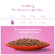 Image of a bowl of cat food with a purple background, displaying feeding recommendations for cats weighing 3 kg, 4 kg, and 5 kg.