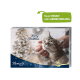 Adventskalender für Haustiere mit einer glücklichen Katze, die gestreichelt wird, mit dem Text "Frohe Weihnachten" und einem festlichen Design.