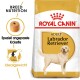 Labrador Retriever Adult 2x12 kg