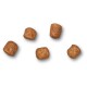 Five small, brown pet food kibble pieces scattered on a white background.
