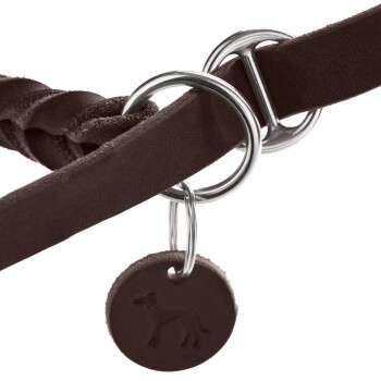 Nahaufnahme eines braunen geflochtenen Hundegeschirrs mit silbernen Metallringen und einem runden Anhänger mit einem Hundesilhouette.