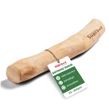 Ein natürlicher, gebogener Hundekau stick aus hellfarbigem Holz, ideal für das Kauen von Haustieren und die Zahngesundheit.