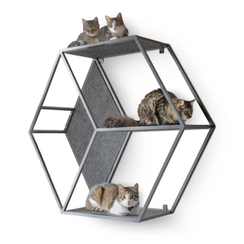 Kratzbaum HexaCat Zwei Katzen spielen auf einem modernen, geometrischen Katzenbaum mit einem dunklen Rahmen und Filzoberflächen; eine Katze liegt auf einem Regal, während die andere klettert.