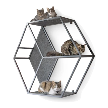Zwei Katzen spielen auf einem modernen, geometrischen Katzenbaum mit einem dunklen Rahmen und Filzoberflächen; eine Katze liegt auf einem Regal, während die andere klettert.