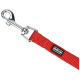 Red pet leash with a silver metal clip and a black Anione logo patch.