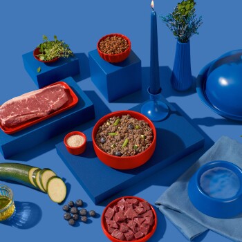 Ein blauer Hintergrund zeigt eine rote Schüssel mit Tierfutter, rohem Steak, Linsen, geschnittenem Zucchini, einer blauen Kerze und einer Vase mit Grünpflanzen.