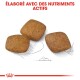 Trois morceaux de croquettes pour animaux de forme carrée et marron sur un fond blanc, avec le texte "ÉLABORÉ AVEC DES NUTRIMENTS ACTIFS" au-dessus.