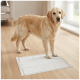 Golden retriever debout sur un tapis d'entraînement blanc sur un sol en bois près d'une porte-fenêtre coulissante en verre.