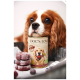 Ein Cavalier King Charles Spaniel legt seinen Kopf auf eine Dose "DOG'S LOVE" Hundefutter, neben ihm sind gefrorene Leckereien gestapelt.