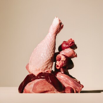 Mélange de volaille cru pour animaux : pilon de poulet et abats assortis (cœurs, foie) sur un fond neutre.