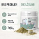 Ein klarer Glasbehälter, gefüllt mit einem grünlich-braunen Kräuterpulver, begleitet von einem kleinen weißen Messlöffel.