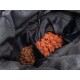 Nahaufnahme einer Haustier-Leckerlitasche, die zwei Fächer zeigt: eines mit kleinen braunen Kroketten und ein anderes mit roten, knochenförmigen Leckerlis.