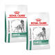 Zwei Säcke Royal Canin Veterinary Diet Diabetiker-Hundefutter, mit einer Silhouette eines Hundes und dem Text "VETERINÄR" und "DIABETISCH."