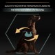 Ein brauner Hund sitzt vor einem dunklen Hintergrund mit Pfeilen, die die Verdauungsgesundheit hervorheben, und Text, der hochwertiges Futter für empfindliche Verdauung bewirbt.