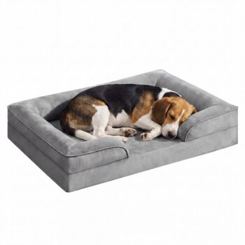 Beagle schläft eingerollt auf einem grauen rechteckigen Hundebett mit erhöhtem Rand.