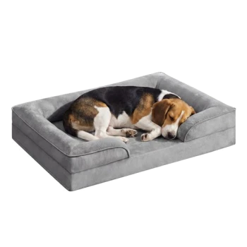 Beagle schläft eingerollt auf einem grauen rechteckigen Hundebett mit erhöhtem Rand.