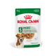 Pochette de nourriture pour chien Royal Canin mini vieillissant, 85g, contenant des morceaux dans une sauce, adaptée aux chiens de plus de 8 ans, maintien du poids.