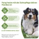 Hund kaut ein Zahnpflege-Leckerli auf dem Gras, mit deutschem Text 'Fang heute mit der Zahnpflege deines Hundes an' und Whimzees-Logo