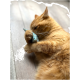 Un chat orange espiègle câline un petit jouet en forme de poisson coloré sur un sol en bois, mettant en valeur son pelage doux et son attitude détendue.