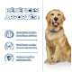 Un golden retriever sur un fond bleu, avec un texte sur les bienfaits : soutient les articulations, maintient la masse musculaire, renforce l'immunité.