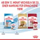 Bild von Royal Canin Haustierfutter für mittelgroße Hunde, das "Welpe" und "Erwachsene" Formeln zeigt mit einem Banner über den Futterwechsel nach 12 Monaten.