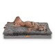 PABLO SHAGGY ORTHO PLUS Hundematratze schwarz/ graphit 80 cm, 13 cm, 60 cm