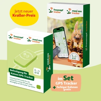 Bild von Katzen-GPS-Tracker-Boxen: links zeigt einen grünen Tracker, rechts wird eine Smartphone-App mit Katze angezeigt. Etiketten heben Sonderangebote hervor.