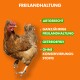 Ein braunes Huhn auf einem leuchtend orangefarbenen Hintergrund mit Text: "ARTGERECHT," "FREILANDHALTUNG," "GETREIDEFREI," "OHNE KONSERVIERUNGSSTOFFE."