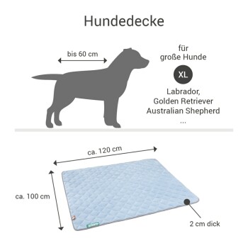 Helles blaues, gestepptes Hundeblanket mit gefaltetem Eck, das "sauber | hygienisch | pflegeleicht" und Pflegehinweise zeigt. Doctor Bark-Logo enthalten.