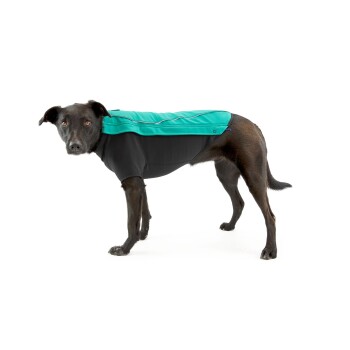 Ein schwarzer Hund trägt einen stilvollen Hundemantel mit einem türkisfarbenen Oberteil und einem schwarzen Unterteil, auf einem weißen Hintergrund stehend.