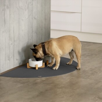 Ein beiger Französischer Bulldogge, der aus einer weißen Schüssel auf einem Holzständer frisst, der auf einer grauen Fütterungsmatte in einer modernen Küchenumgebung platziert ist.