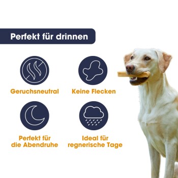 Ein Labrador Retriever mit einem Kauspielzeug, mit den Texten: "Für den Innenbereich", "Geruchsneutral", "Keine Flecken", "Abendliche Entspannung", "Ideal für regnerische Tage."