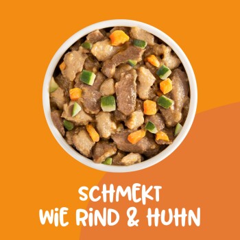 Oranger Hintergrund, der glutenfreies Tierfutter mit Rind- und Hühnergeschmack bewirbt, hebt Vorteile für Haut, Fell, Zähne und Knochen hervor.