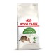 Sac de nourriture pour chats Royal Canin Active Life Outdoor avec une illustration de chat espiègle, mettant l'accent sur la nutrition pour la santé féline.